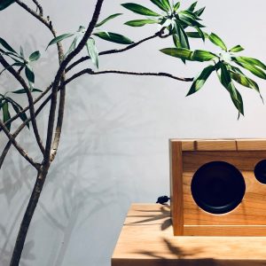 plant-with-green-leaves-and-wooden-speaker-on-a-wo-2023-11-27-05-37-01-utc-min